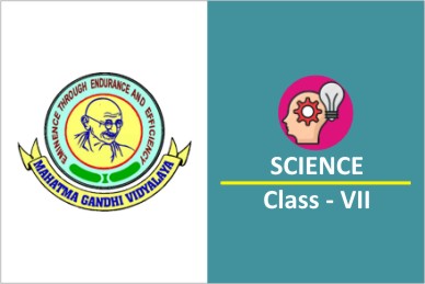 Science - Class VII